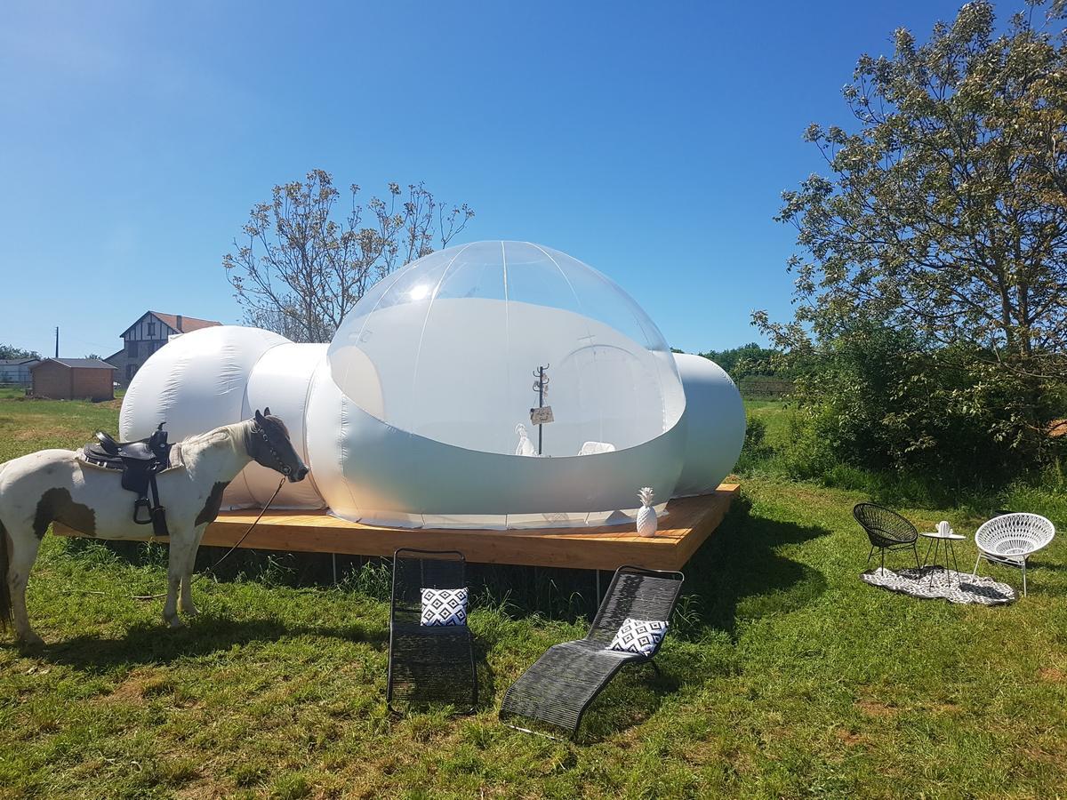 Lanouaille Coachellaゲストハウス エクステリア 写真