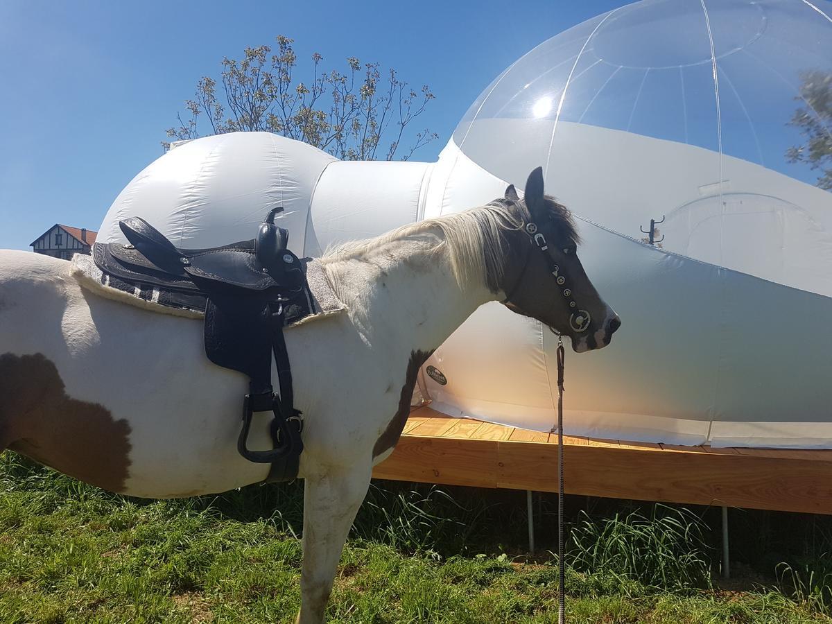 Lanouaille Coachellaゲストハウス エクステリア 写真